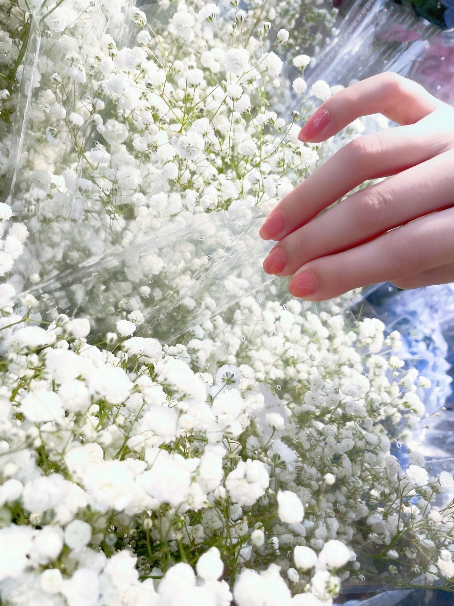 Romantic Party Nail Wrap Set 浪漫派對凝膠甲貼套裝
